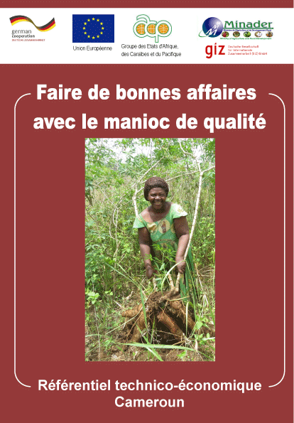 Faire de bonnes affaires avec du manioc de qualité