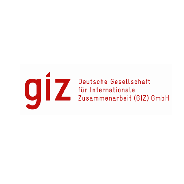 Logo de GIZ